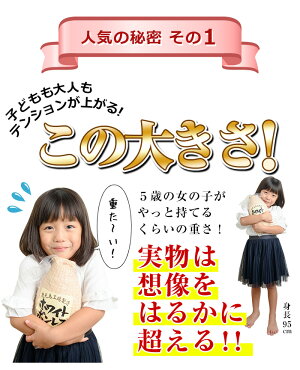 【ふるさと納税】大人気!プリマハム「ホワイトボンレスハム(約1.5kg)」豚肉もも肉