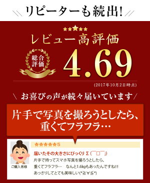 【ふるさと納税】大人気!プリマハム「ホワイトボンレスハム(約1.5kg)」豚肉もも肉