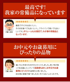 【ふるさと納税】大人気!プリマハム「ホワイトボンレスハム(約1.5kg)」豚肉もも肉
