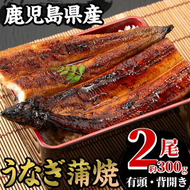 【ふるさと納税】国産うなぎ(鹿児島県産うなぎ)蒲焼2尾(約300g) 国産 国産魚 九州産 鹿児島県産 魚 魚介 鰻 うなぎ ウナギ 蒲焼 蒲焼き 惣菜 冷凍 【南竹鰻加工】