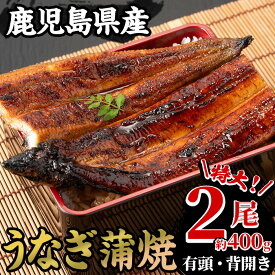 【ふるさと納税】＜期間・数量限定＞国産うなぎ(鹿児島県産うなぎ)蒲焼(特大サイズ2尾・約400g) 国産 国産魚 九州産 鹿児島県産 魚 魚介 鰻 うなぎ ウナギ 蒲焼 蒲焼き 惣菜 冷凍【南竹鰻加工】