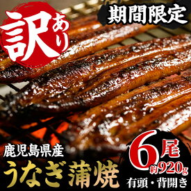 【ふるさと納税】＜訳あり・期間限定＞国産うなぎ(鹿児島県産うなぎ)蒲焼(6尾・計約920g) 国産 国産魚 九州産 鹿児島県産 魚 魚介 魚介類 鰻 うなぎ ウナギ unagi 蒲焼き 訳アリ 規格外 限定 惣菜 冷凍【南竹鰻加工】