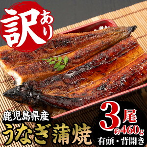 yӂ邳Ɣ[Łz󂠂聄YȂ(YȂ)(3E460g) Y Y BY Y    V Ȃ EiM unagi  Ă 󂠂 A KiO y 
