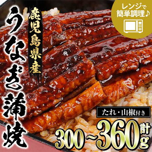 yӂ邳Ɣ[ŁzeʂIׂIsWΉtYȂ(300gE60g×5/360gE90g×4) Y Y BY Y   V Ȃ EiM unagi  Ă  t 