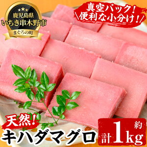 yӂ邳Ɣ[ŁzVRLn_}O(1kg) ł͂ÎhgCNɁI܂   hg yCN܂Ɓz