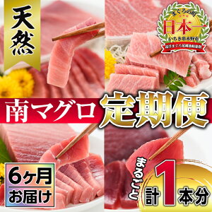 マグロ 1本の人気商品 通販 価格比較 価格 Com