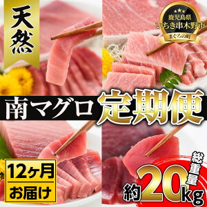 yӂ邳Ɣ[Łzyցz}Ohgp(8{Zbg×12) 󏭂ȓ܂̑gEgEgEԐg𖈌͂Iv20kgȏI܂  ܂ }O Ƃ 