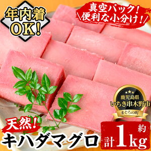 �y�ӂ邳�Ɣ[�Łz�_12/24�܂ŔN���z���^�V�R�L�n�_�}�O��(��1kg) ��ł��͂��I�����̂��h�g��C�N���ɁI�܂��� �� ���� �h���g �N���z�� �N������ �y�C�N�܂���Ɓz