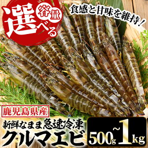 yӂ邳Ɣ[ŁzeʂIׂIⓀN}Gr(v500g(10×2)/v1kg(10×4)) Y BY  Yi Y ԊCV ܂ Ԃ Ԃ CN    Ă 