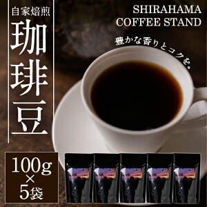 【ふるさと納税】≪数量限定≫自家焙煎コーヒー豆!煎った焼きたて香り豊かな珈琲!ブラジルアフォンソクラウディオカトゥアイSW(100g×5・粉もしくは豆)【SHIRAHAMACOFFEESTAND】