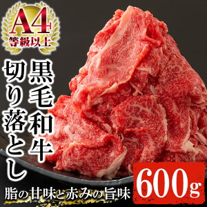 yӂ邳Ɣ[ŁzYјa؂藎Ƃ(600g) A4ȏ  Y  ؂藎Ƃ B јa a   ႪyoNz