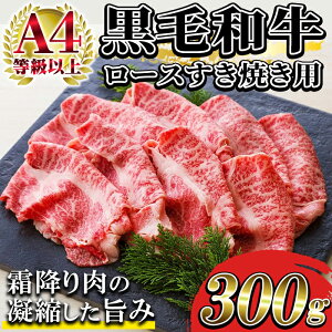 yӂ邳Ɣ[Łzјa[XĂp(300g)I A4ȏ  Ă Y B  a   i Mtg ~ ₫ i v[gyoNz