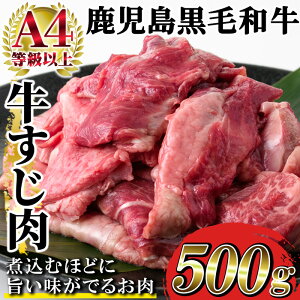 yӂ邳Ɣ[Łzʌ聄sA4ȏtYјa  (v500g) Y B    XW  r[tV`[ ύ J[ XW ύ ł a ⓀyoN