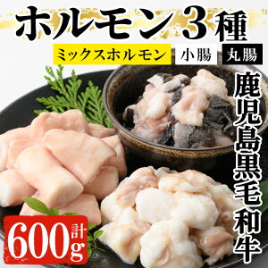 yӂ邳Ɣ[Łzјaz3퐷荇킹(v600g)I ے ~bNXz Y    z  Y B ē o[xL[  z uߕ a 