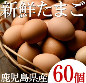 【ふるさと納税】薩摩ヤブサメ酵素卵(60個)本来のたまごの味にこだわったタマゴ！【ヤブサメファーム】