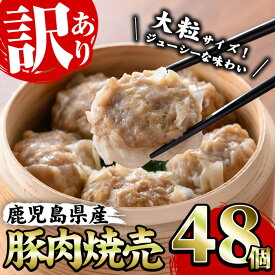 【ふるさと納税】《訳あり・業務用》鹿児島県産豚肉使用！焼売セット (計48個・24個×2P)国産 九州産 鹿児島 豚 肉 ブタ シュウマイ しゅうまい シューマイ 中華 大粒 冷凍 レンジ 惣菜 時短 冷凍 食卓 夕食 弁当 おかず【鹿児島協同食品】