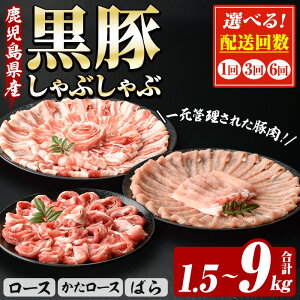 yӂ邳Ɣ[Łzz񐔂IׂIb̍؂Ԃ3Zbg (Y)(250g×6PEv1.5kg×1/3/6) ؓ  XCX [X [X ΂ o Ԃ