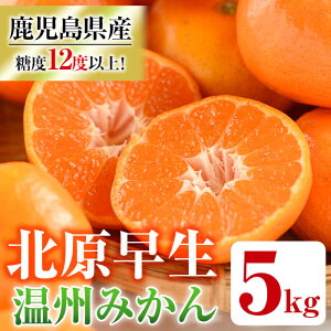 【ふるさと納税】<先行予約受付中!2025年11月中旬以降順次発送予定>《期間限定・数量限定》JAさつま日置産北原早生(温州みかん) (約5kg) 蜜柑 柑橘 冬季 果物 フルーツ 温州みかん みかん