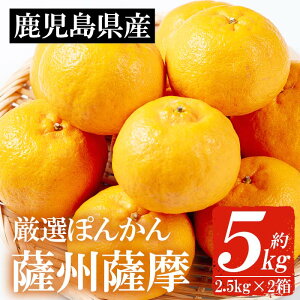 【ふるさと納税】<先行予約受付中!2026年1月中旬頃より順次発送予定>《期間限定・数量限定》鹿児島県産薩州薩摩(厳選ぽんかん)(約5kg・2.5kg化粧箱×2箱) 国産 みかん ミカン 蜜柑 ポンカン