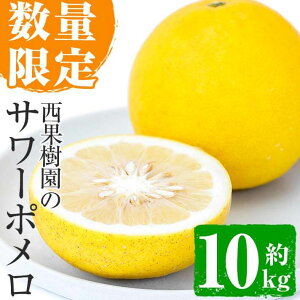 yӂ邳Ɣ[Łzs\tI2026N2{菇\聄T[|(10kgE15`22x) Y Y ʕ ʎ t[c k T[|  ݂ ʌ 