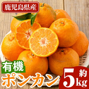 yӂ邳Ɣ[Łzs\tsԁEʌtL@|J(5kgEϔ) Y BY Y  ݂ ~J k ʕ ʎ t[c ۂ񂩂 |J L@͔| 