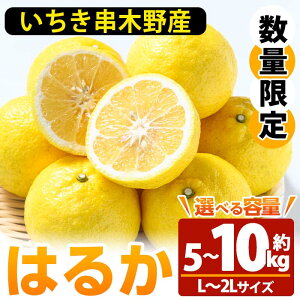 yӂ邳Ɣ[Łzs\tI2026N1{菇\IseʑIׂItrVʎ̂͂邩 (5kg / 10kg) Y Y ʕ k ݂ ~J  ͂邩 { t