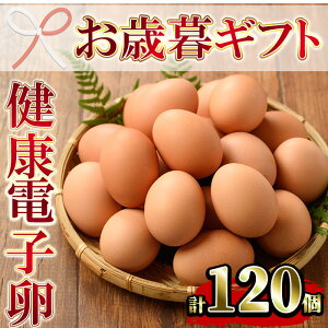 yӂ邳Ɣ[Łz2025NΕMtgYINdq(v120E10×12P) Y BY ܂ ^}S ʎq ܂ e e{ VN {  pbN ͂  