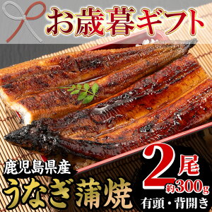 yӂ邳Ɣ[Łz2025NΕMtgYȂ(YȂ)(2E300g) Y Y BY Y   V Ȃ EiM  Ă y Ⓚ v[g iy