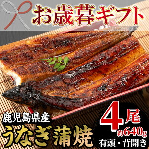 yӂ邳Ɣ[Łz2025NΕMtgYȂ(YȂ)(4E640g) Y Y BY Y   V Ȃ EiM  Ă y Ⓚ v[g iy