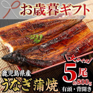 yӂ邳Ɣ[Łz2025NΕMtgYȂ(YȂ)(TCY5E800g) Y Y BY Y   V Ȃ EiM  Ă y Ⓚ v[g 