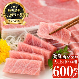 【ふるさと納税】南マグロ極みセット！大とろ・上とろ・中とろの鮪の刺身用柵(計約600g)！希少な南まぐろの大トロや上トロ、中トロを刺身用サクでお届け【新洋水産】