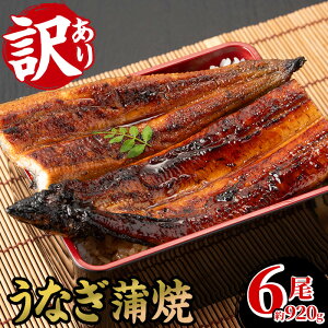 yӂ邳Ɣ[Łz󂠂EԌ聄YȂ(YȂ)(6Ev920g) Y Y BY Y    V Ȃ EiM unagi Ă A KiO  y