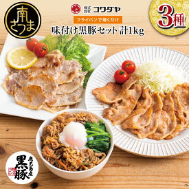 【ふるさと納税】鹿児島県産 味付け黒豚セット3種類 計1kg（黒豚ロースネギ塩焼き/黒豚ロース生姜焼き/黒豚ビビンバの素）焼くだけ簡単！ 焼肉 お肉 豚肉 冷凍 総菜 おかず 簡単調理　漬けダレ お弁当 味付き ネギ塩 生姜焼き ビビンバ 小分け 国産 黒豚 ロース 送料無料