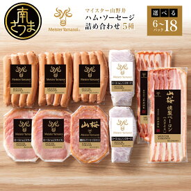 【ふるさと納税】マイスター山野井 ハム・ソーセージ 5種 詰合せ 計6P～18P ★容量が選べる★ ウインナー ベーコン ハム スライス お取り寄せ 肉 豚肉 詰め合わせ 詰合せ セット ご当地 鹿児島 グルメ オードブル 惣菜 ギフト 贈答 冷蔵 南さつま市