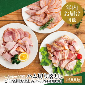 【ふるさと納税】★年内お届け★ 訳あり マイスター山野井ご自宅用お楽しみパック（4種類以上・切り落とし） ボロニア ソーセージ ハム ベーコン ロースハム 燻製 あらびきポーク 切落し 鹿児島県 南さつま市 グルメ ワケあり 全国送料無料 年末配送 年内発送 指定可能