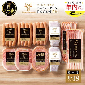 【ふるさと納税】マイスター山野井 ハム・ソーセージ 5種 詰合せ 計6P～18P ★容量が選べる★ ウインナー ベーコン ハム スライス お取り寄せ 肉 豚肉 詰め合わせ 詰合せ セット ご当地 鹿児島 グルメ オードブル 惣菜 ギフト 贈答 冷蔵 南さつま市
