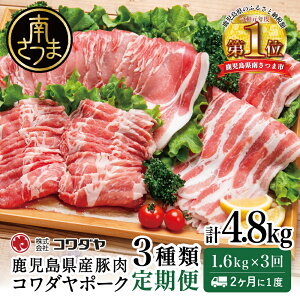 yӂ邳Ɣ[Łzyցzؓ3ރZbg 1.6kg×S3(v4.8kg) 21x R_|[N Y o [X z Y Y  ؓ  Ԃ  I