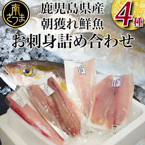 yӂ邳Ɣ[ŁzytIzl hg lߍ킹i4j r[Ly[{  ܂  ① hg N iLj}`E  Y CN{bNX CNb