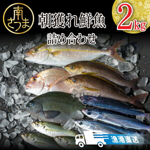 yӂ邳Ɣ[Łzy`zlN lߍ킹 2kg Y NZbg ܂ CN{bNX CNbox  Zbg N{bNX Nlߍ킹 ƂꂽĒ l hg 