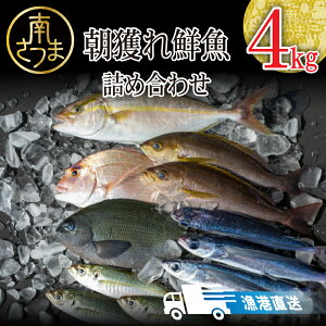yӂ邳Ɣ[Łzy`zlN lߍ킹 4kg Y NZbg ܂ CN{bNX CNbox  Zbg N{bNX Nlߍ킹 ƂꂽĒ l hg 