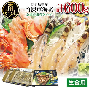 yӂ邳Ɣ[ŁzyYzY ⓀԊCV 600giHpj ԃGr Ԃ ܂ CV  N}Gr CN hg i VՂ Ă GrtC 삳܎s 