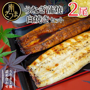 yӂ邳Ɣ[ŁzyY VzȂXûvVāEĂZbgiĂje1 (160g) W[V[ X^~i EiM Ă Y Mtg ȏd   o`t Ђ