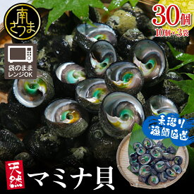 【ふるさと納税】【素潜り漁師直送】【袋に入った冷凍のままでレンジ対応】【南さつま市 笠沙産 天然マミナ貝 】シッタカ クボガイ 海産物 魚介類 鹿児島県 南さつま市 隆康産業 送料無料