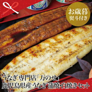 yӂ邳Ɣ[ŁzyΕMtgzY V ȂXûvVāEĂZbgiĂje1 (160g) EiM Ă Y ȏd   o`t Ђ܂Ԃ R 