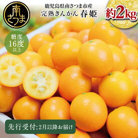 【ふるさと納税】先行受付：鹿児島県産ブランドきんかん「春姫」 約2kg【2026年2月発送開始】 鹿児島県産 ブランド 金柑 果物 フルーツ 柑橘 常温 JA 南さつま市 送料無料