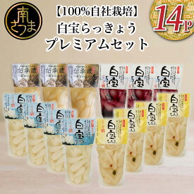 【ふるさと納税】鹿児島県産 白宝らっきょうプレミアムセット 14P（酢漬け・塩漬け各4P、しそ漬け・黒酢漬け各3P） 三大砂丘 鹿児島県 吹上砂丘地 らっきょう 漬物 国産 らっきょう漬け お取り寄せ ギフト ご自宅用 エスランドル 南さつま市 送料無料