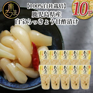 yӂ邳Ɣ[Łz yYz傤i90g×10Pj Е 傤  Mtg  퉷ۑ 삳܎s y2019Nx ӂ邳Ɣ[ 񕍊z 1 삳