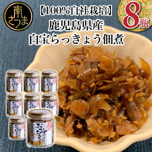 yӂ邳Ɣ[ŁzyYz傤ώ 8 ώ  Zbg  y 傤  GXh 삳܎s 