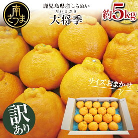 【ふるさと納税】【訳あり】◆1月以降お届け◆ 鹿児島県産 不知火「大将季」約5kg フルーツ 柑橘 みかん しらぬい 旬 南さつま市 送料無料