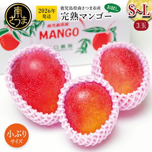 yӂ邳Ɣ[ŁzY n}S[ S`LTCY 3 2026N st ʁEԌ Ԃ TCY  ip Mtg IWi Abv}S[ A[EB